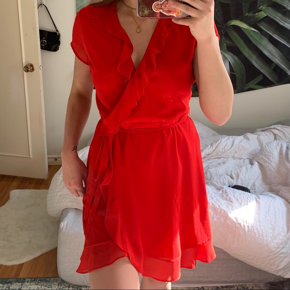 Naked Zebra Ruffle Sleeve Wrap Dress